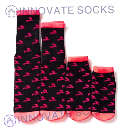 flying squirrel socks